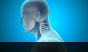 목동자생한방병원 목질환 일자목증후군-정상적인 C자형 목뼈 모습입니다.