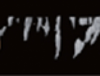 손상된 골세포 조직 이미지